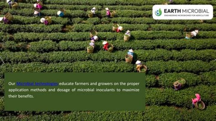 Why microbes are important?