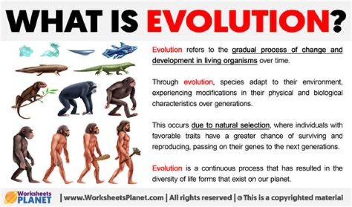 Why theory of evolution important?