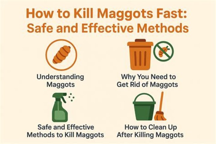 Will iodine kill maggots?