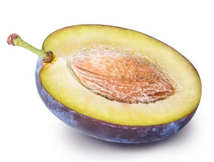 Will one plum kill a dog?