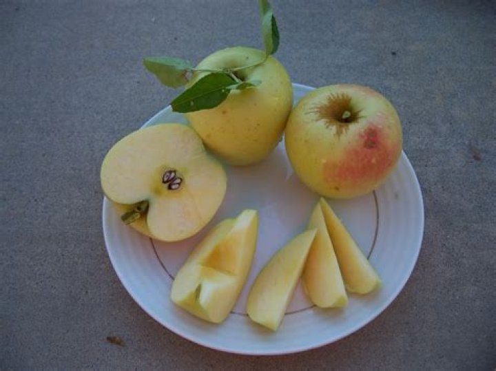 Will red delicious pollinate yellow delicious?