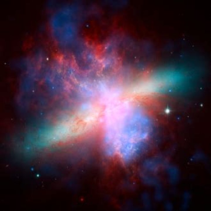 Will rigel go supernova?