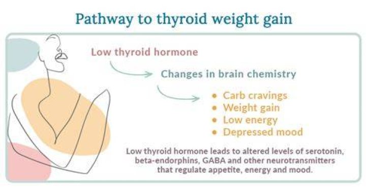 Will thyroid medicine cause weight loss?
