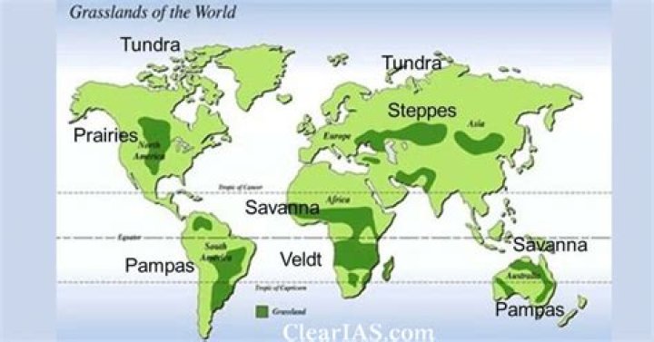 Would you find grasslands?